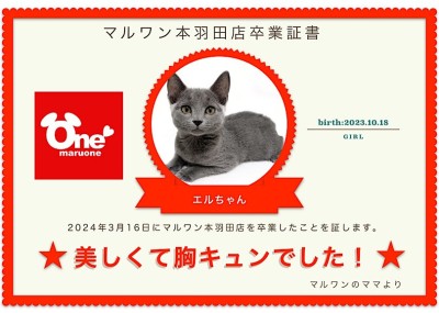 【 卒業記念 】エルちゃん卒業おめでとう！今までの感謝を込めて〜卒業ブログ〜