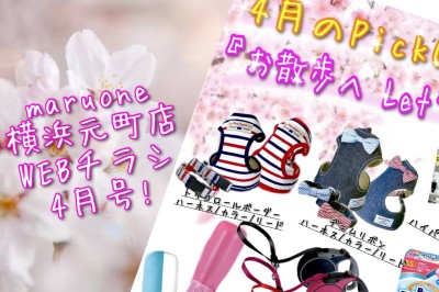 【 商品レビュー 】横浜元町店WEBチラシ4月号！