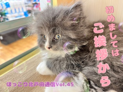 【 ほっこり北通Vol.45 】はじめましてノルちゃん