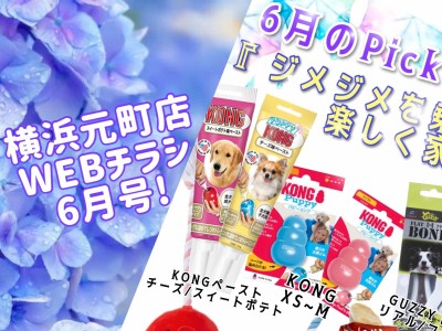 【 商品レビュー 】横浜元町店WEBチラシ6月号！
