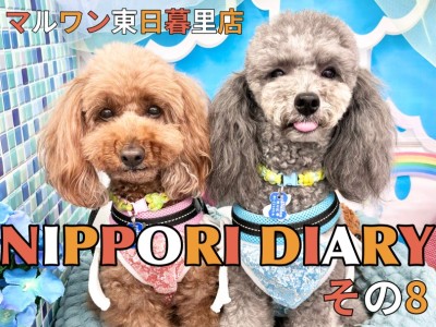 【 NIPPORI DIARY その 】体脂肪測定会に密着！ココ＆ルル編