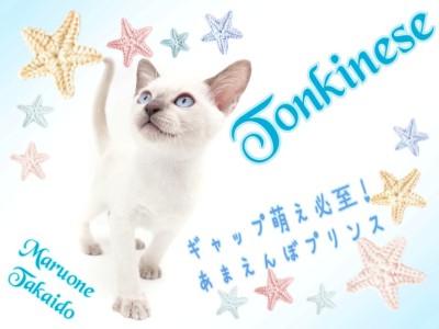 【 トンキニーズ 】最上級なギャップ萌えは必見！麗しの甘えんぼプリンス登場！