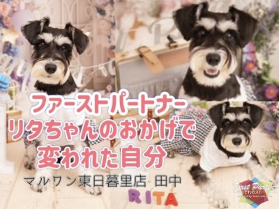 【 ファーストパートナー 】マルワン東日暮里店スタッフ田中の1番の推しをご紹介！