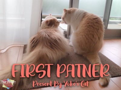【 ファーストパートナー 】マルワン横浜今宿店スタッフ的場の愛猫物語！