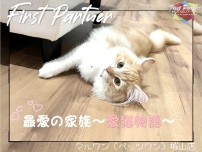 【 ファーストパートナー 】マルワン城山店スタッフ金子の愛猫物語！