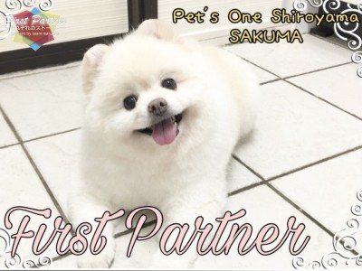 【 ファーストパートナー 】ペッツワン城山店スタッフ佐久間の愛犬物語！