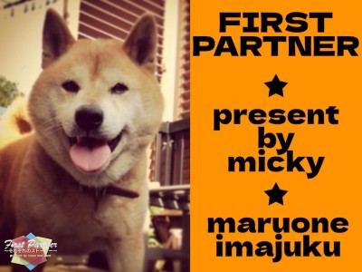 【 ファーストパートナー 】マルワン横浜今宿店 みっきーの愛犬物語！