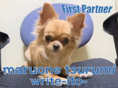 【 ファーストパートナー 】マルワン横浜鶴見店スタッフ伊藤の愛犬物語！