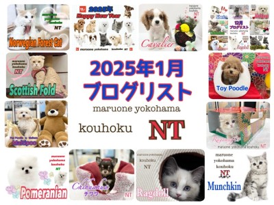 【 ブログリスト 】マルワン横浜 港北NT店1月のブログ記事まとめ