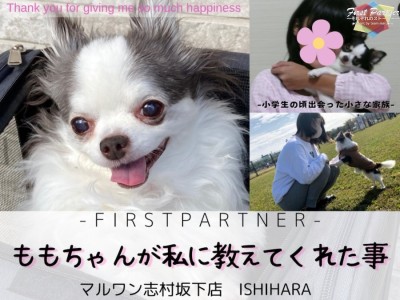 【 ファーストパートナー 】 マルワン板橋志村坂下店スタッフ石原の愛犬物語！