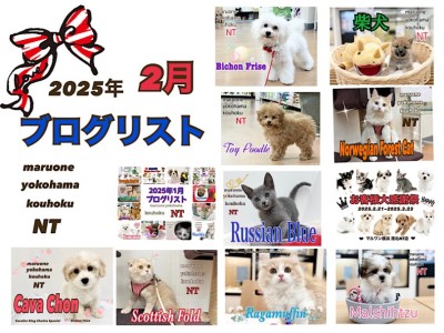 【 ブログリスト 】マルワン港北NT店2月のブログ記事まとめ