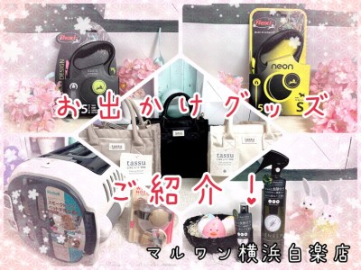 【 商品紹介 】いよいよお花見シーズン到来！便利なお出かけグッズご紹介