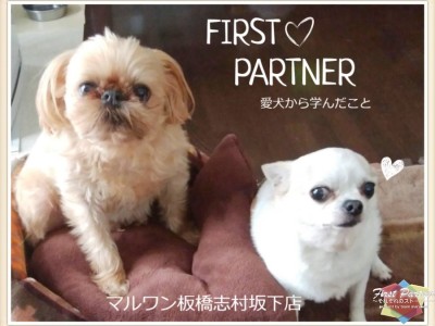 【 ファーストパートナー 】 マルワン板橋志村坂下店スタッフ高橋の愛犬物語！