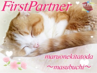 【 ファーストパートナー 】マルワン北戸田店スタッフ増渕の愛猫物語！