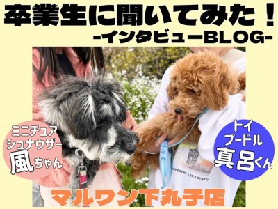 【 下丸子店卒業生インタビュー 】友達の輪から笑顔溢れるワンちゃんライフの輪へ