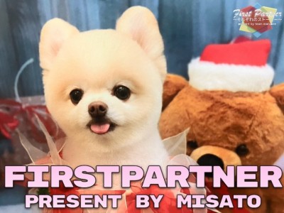 【 ファーストパートナー 】マルワン横浜今宿店 柴の愛犬物語！