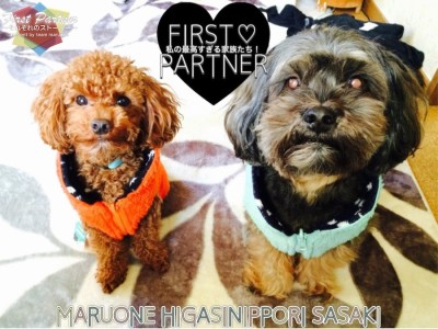 【 ファーストパートナー 】マルワン東日暮里店スタッフ佐々木の愛犬物語！