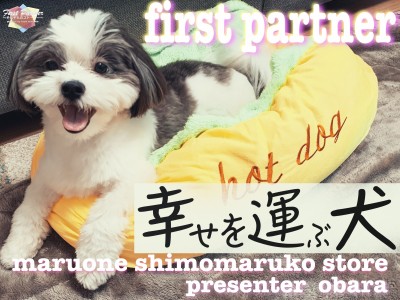 【 ファーストパートナー 】マルワン下丸子店スタッフ小原の愛犬物語！