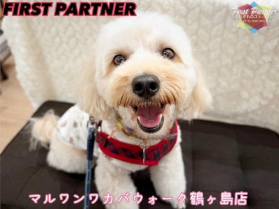 【 ファーストパートナー 】ワカバウォーク鶴ヶ島店小島の愛犬物語！