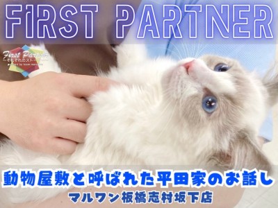 【 ファーストパートナー 】マルワン板橋志村坂下店スタッフ平田の愛猫物語！