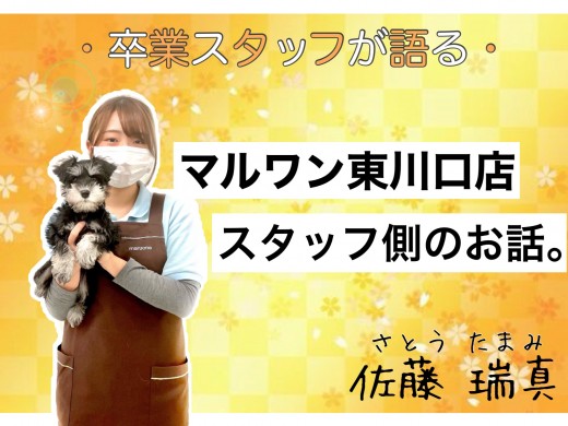 【 スタッフストーリー 】動物業界初心者の私がマルワン東川口店スタッフを卒業するまで