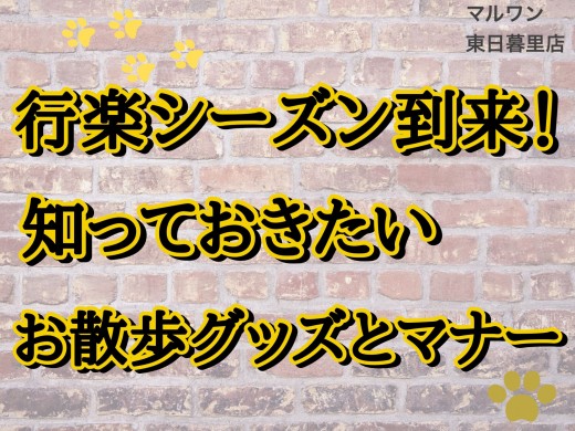 【 おでかけマナー 】行楽シーズン真っ最中！必要なアイテムと守るべきマナーは？