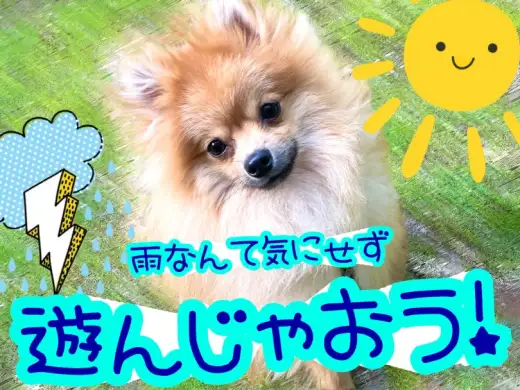 【 松島流ライフハック術 】雨時期を利用してトレーニングを始めちゃおう！