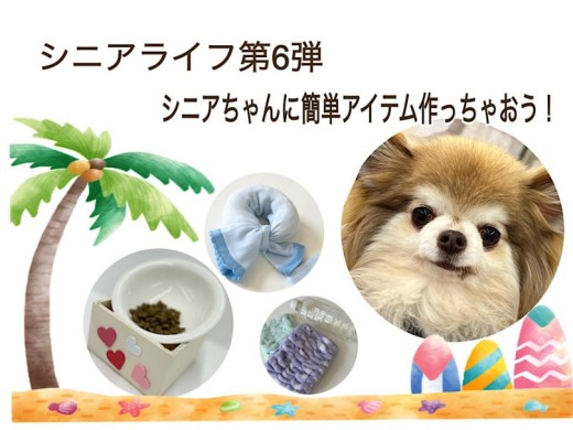 【 お役立て情報 】シニアちゃんに簡単アイテム作っちゃおう！