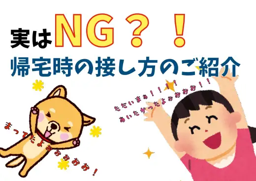 【 帰宅時の接し方 】わんちゃんとの生活で実はよくやってしまいがちなNG行動3選