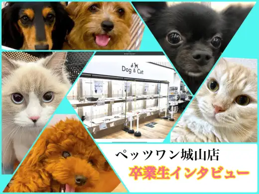 【 卒業生インタビュー 】城山店卒業生のご家族にお迎え後のご様子を聞きました。