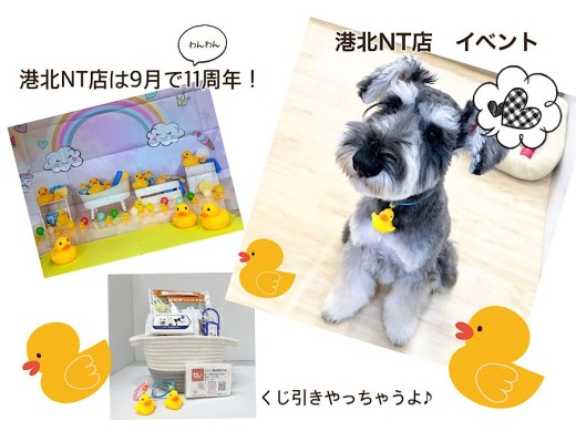 【 イベント情報  】マルワンNT店9月で11年目スタート