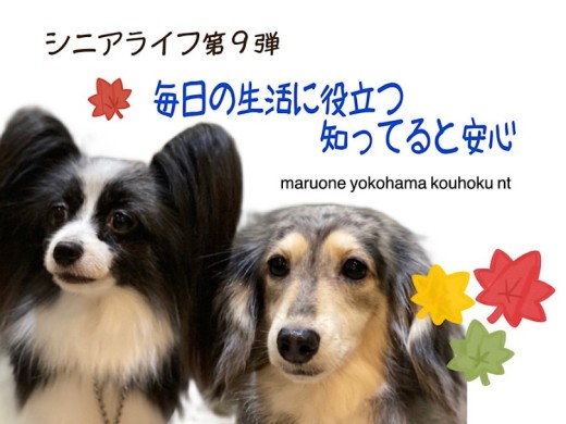 【 お役立て情報 】シニアライフ第9弾！毎日の生活に役立つ知ってると安心