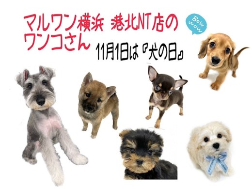 【 犬の日 】わん・わん・わんの日、NT店の6わん
