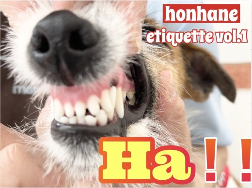 【 トレーニング 】歯は命！ホンハネエチケットvol.1