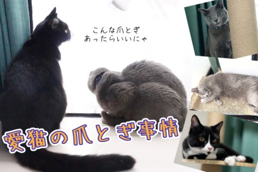 【 猫の爪とぎ 】爪とぎにも役割がある！愛猫好みの素材・形の爪とぎを見つけよう！