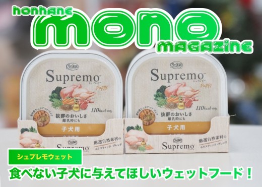【 オススメウェットフード 】 食べ付きの悪い子犬にオススメウェットフード！