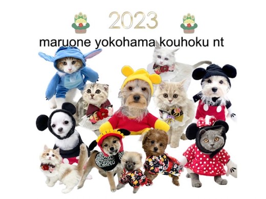 【 お知らせ 】2023今年も元気にスタート‼︎