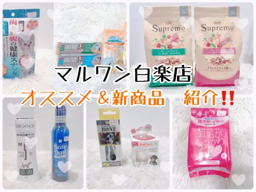 【 商品紹介 】白楽店のグッズ紹介！ニューアイテム&スタッフおすすめ商品レビュー