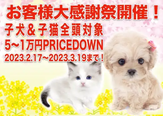 【 お客様大感謝祭 】マルワンのペットライフお手伝い企画スタート！