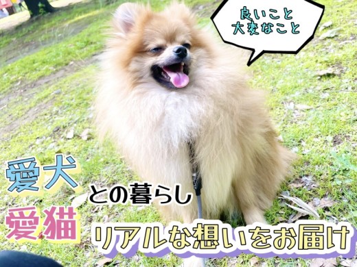 【 ペットとの暮らし 】動物たちがいて良かった！動物との暮らしは癒しだけではない