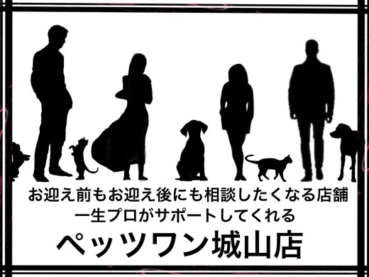 【 ペッツワン城山店紹介 】お迎え前もお迎え後にも相談したくなるペットショップ