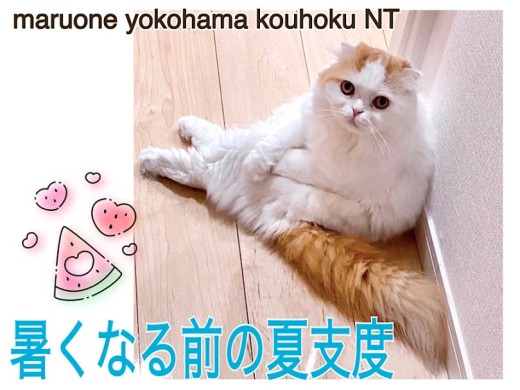 【 お役立て情報 】暑い夏がやってくる前の知ってると安心