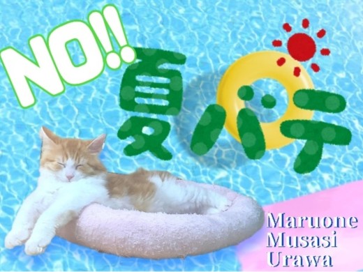 【 夏バテ対策 】愛するご家族に快適な夏を！今日から始める夏バテ対策法をご紹介