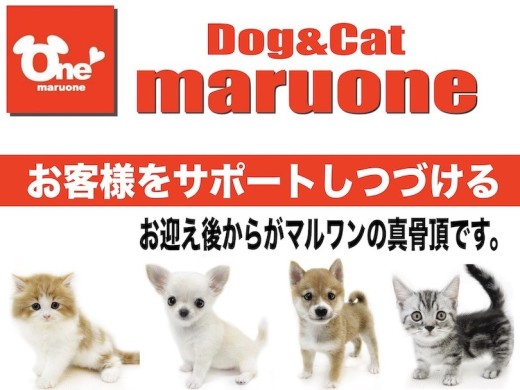 【 サポート 】業界屈指！マルワンの真骨頂はお客様を徹底サポートしつづけること。