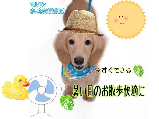 【 暑い日のお散歩対策 】必見！今すぐできる暑い日のお散歩を快適に過ごす方法！