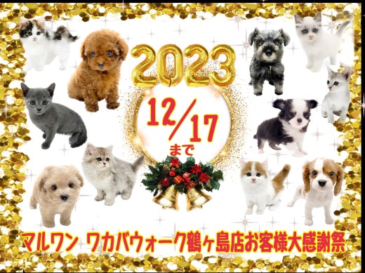 【 お知らせ 】来年は笑顔と思い出に溢れる年に！鶴ヶ島店の大感謝祭