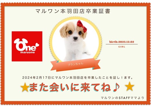 【 卒業記念 】キャバションちゃん卒業おめでとう！スタッフママよりお祝いの言葉〜卒業ブログ〜