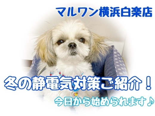 【 お役立て情報 】気になる静電気に！今日から始められるおすすめ対策方法ご紹介