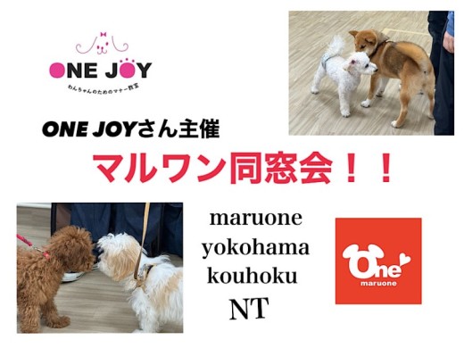 【 お役立て情報 】ONEJOYさん主催『マルワン同窓会』に密着！