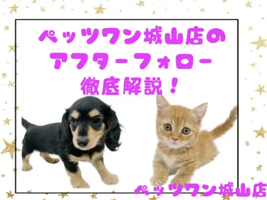 【 マルワンサポート 】 ペッツワン城山店のアフターフォローを徹底解説！